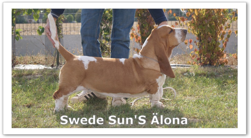 swede sun's Älona