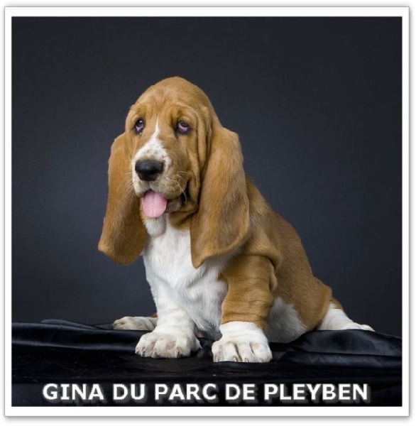 Gina du Parc De Pleyben