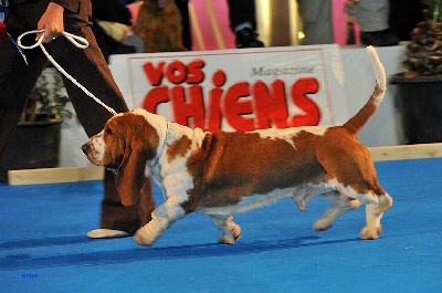 du Parc De Pleyben - CHAMPIONNAT DE FRANCE 2012